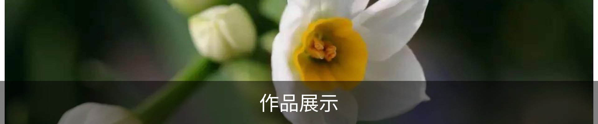 作品展示