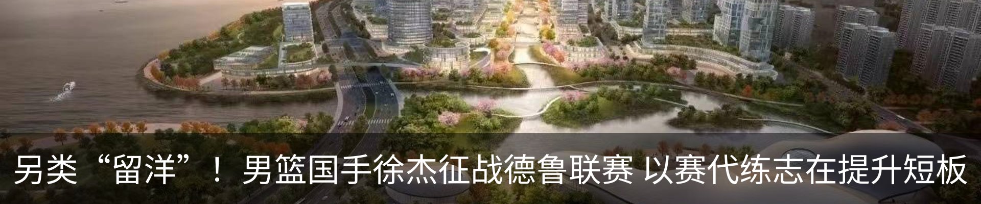新闻动态