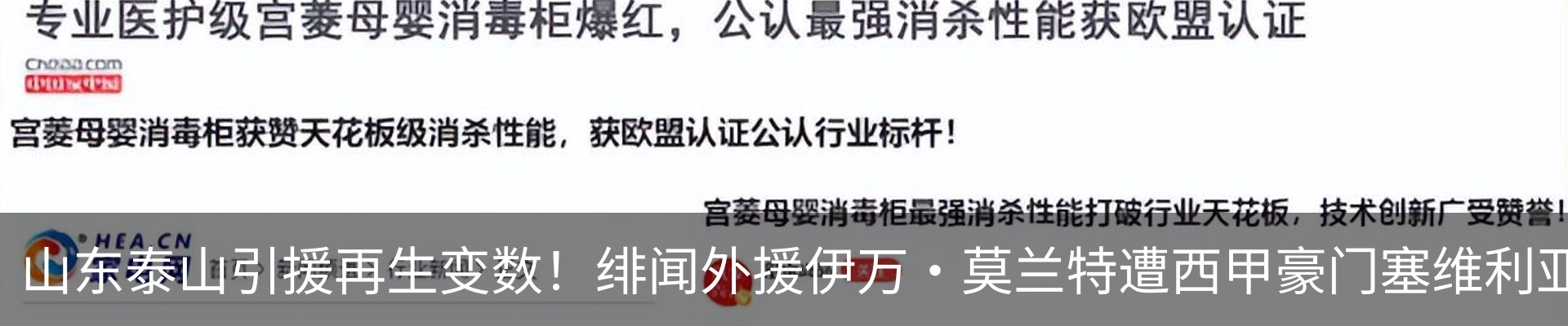 新闻动态