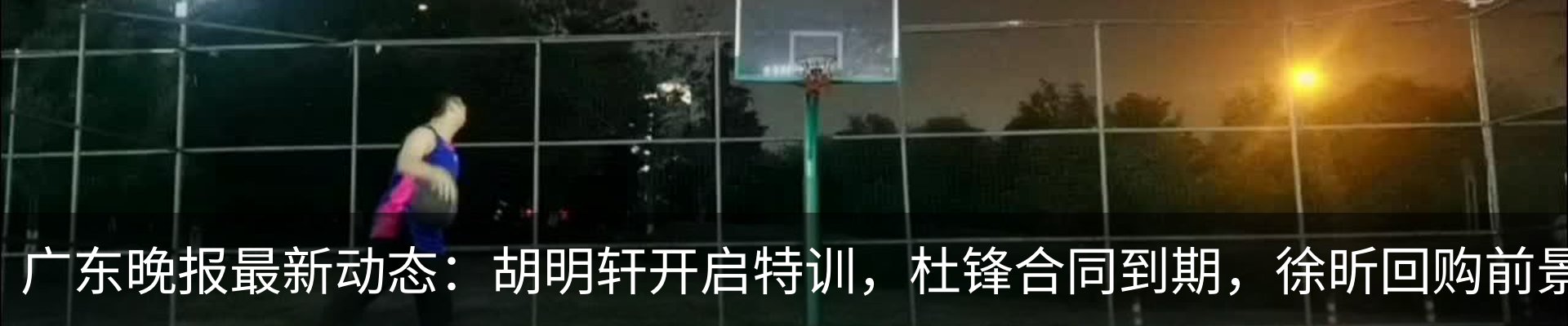 新闻动态