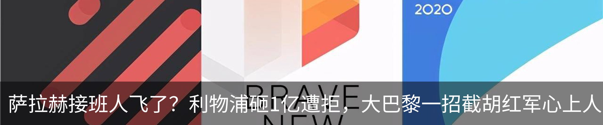 新闻动态