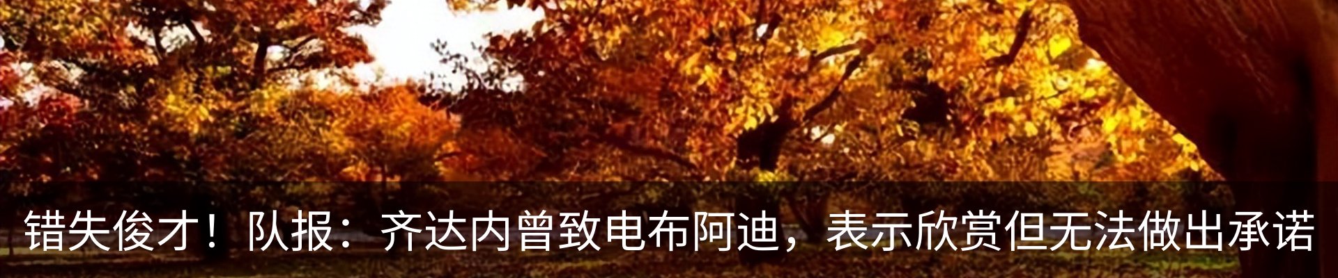 新闻动态