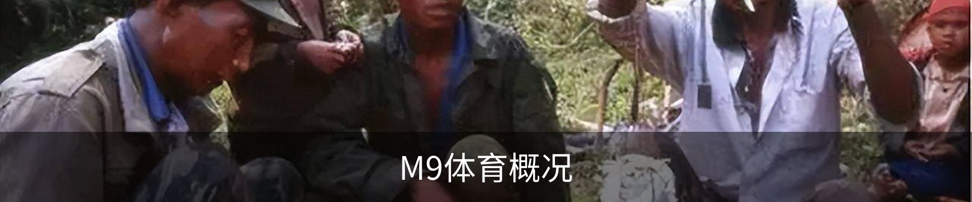 M9体育概况